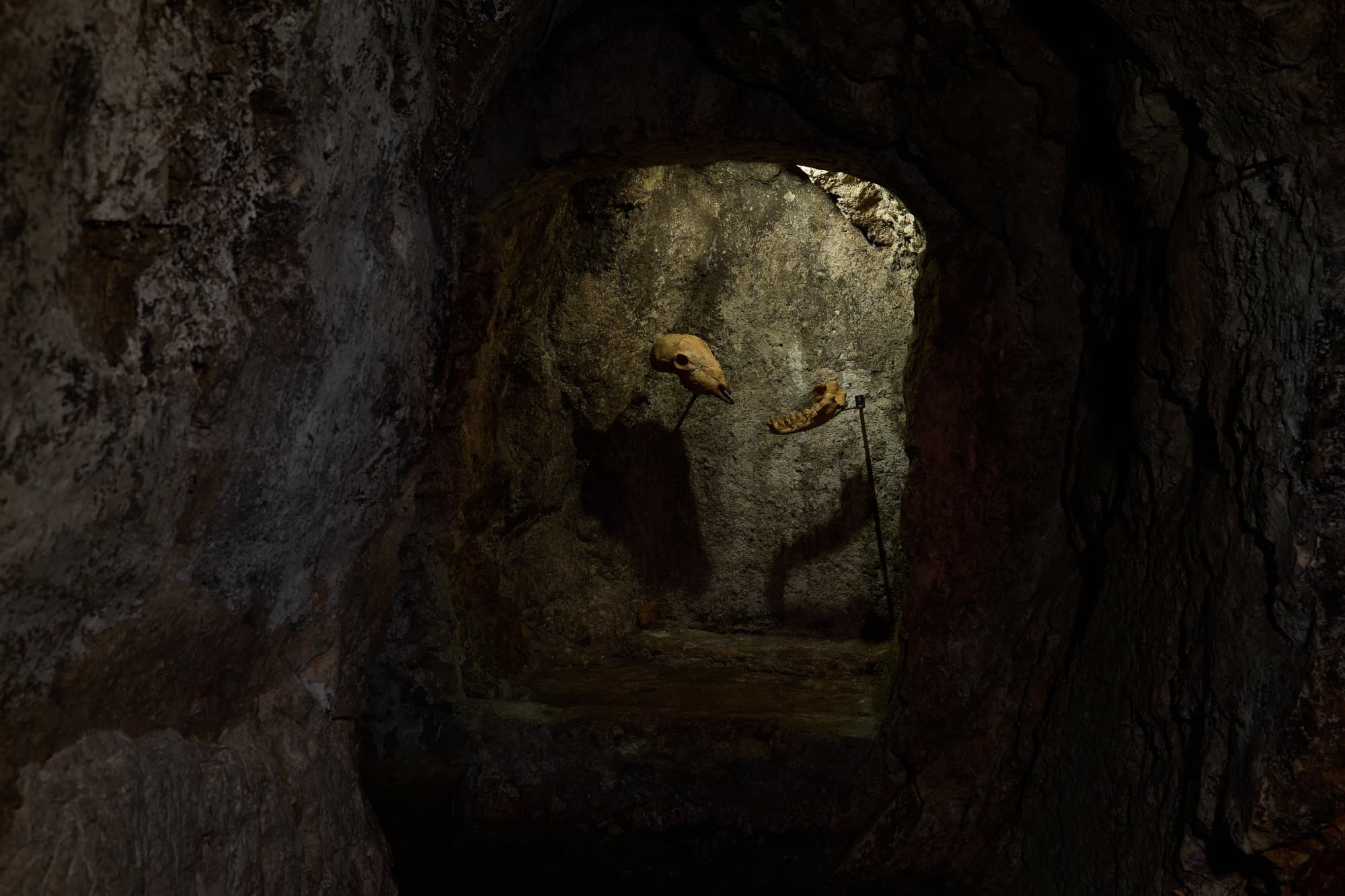 Veduta della grotta di Studio Specus: in fondo al passaggio scavato nella roccia, le sculture in pane di Francesco Petrone.
