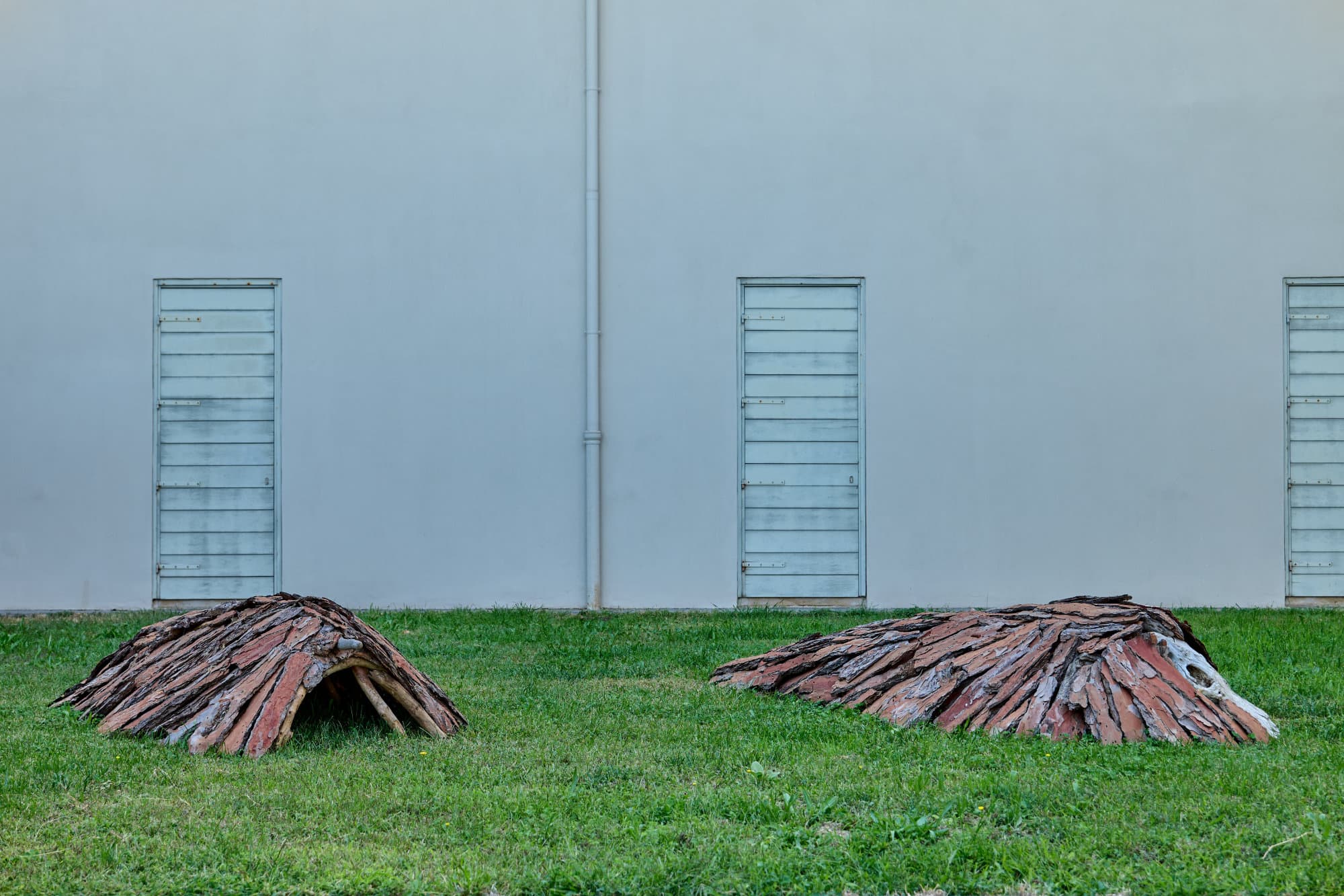 Le due Tane di corteccia di pino di Pino Genovese sul prato, davanti alla facciata del Museo.