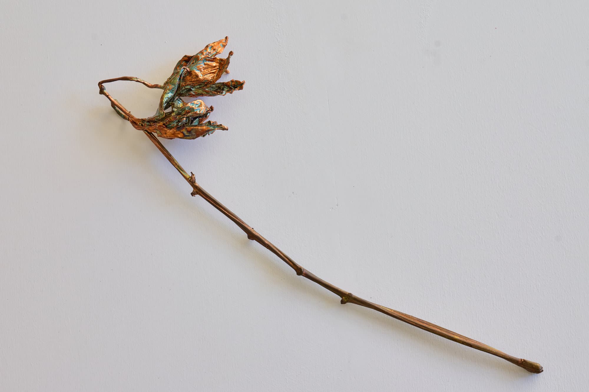 Dettaglio di Semprevivi: un fiore rivestito di rame su fondo bianco.