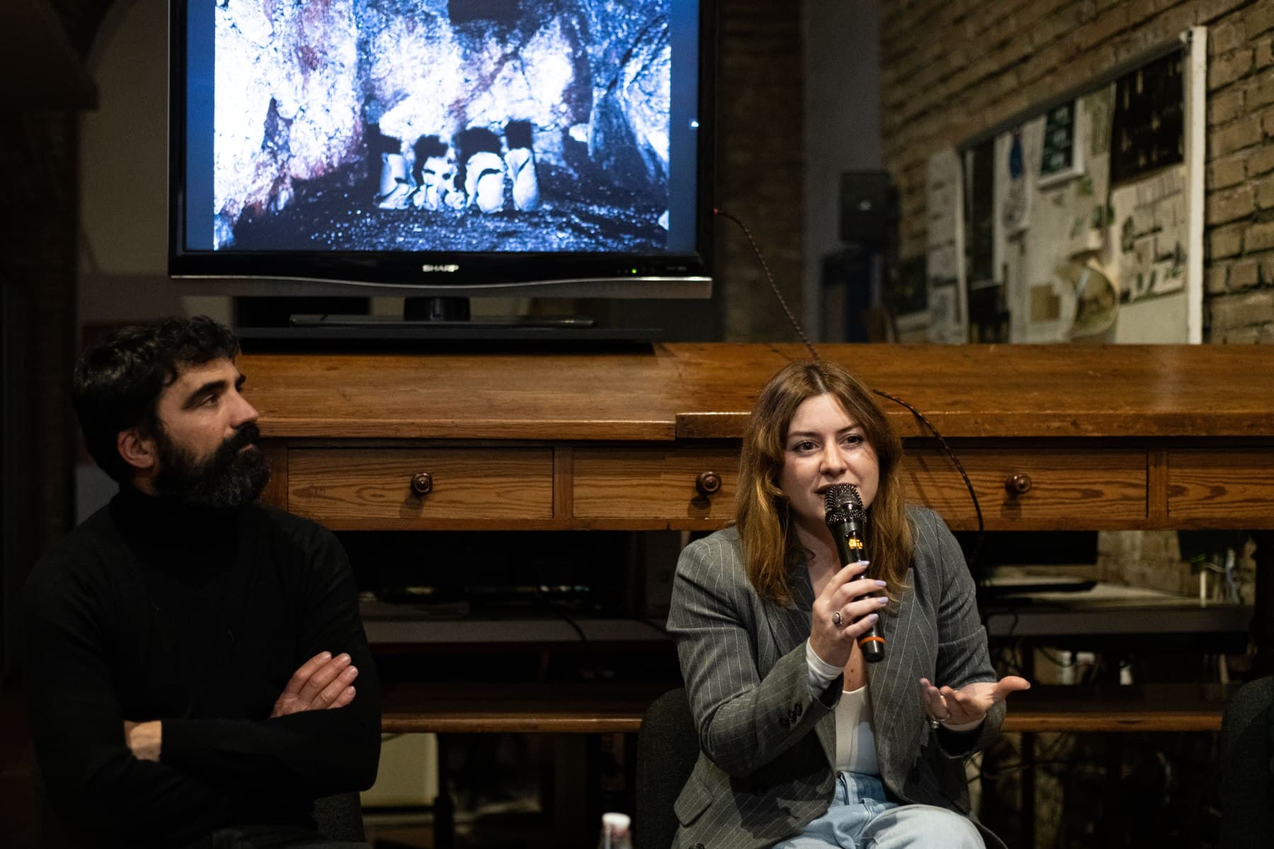 Relatori e pubblico durante un incontro del progetto ALCOVE.
