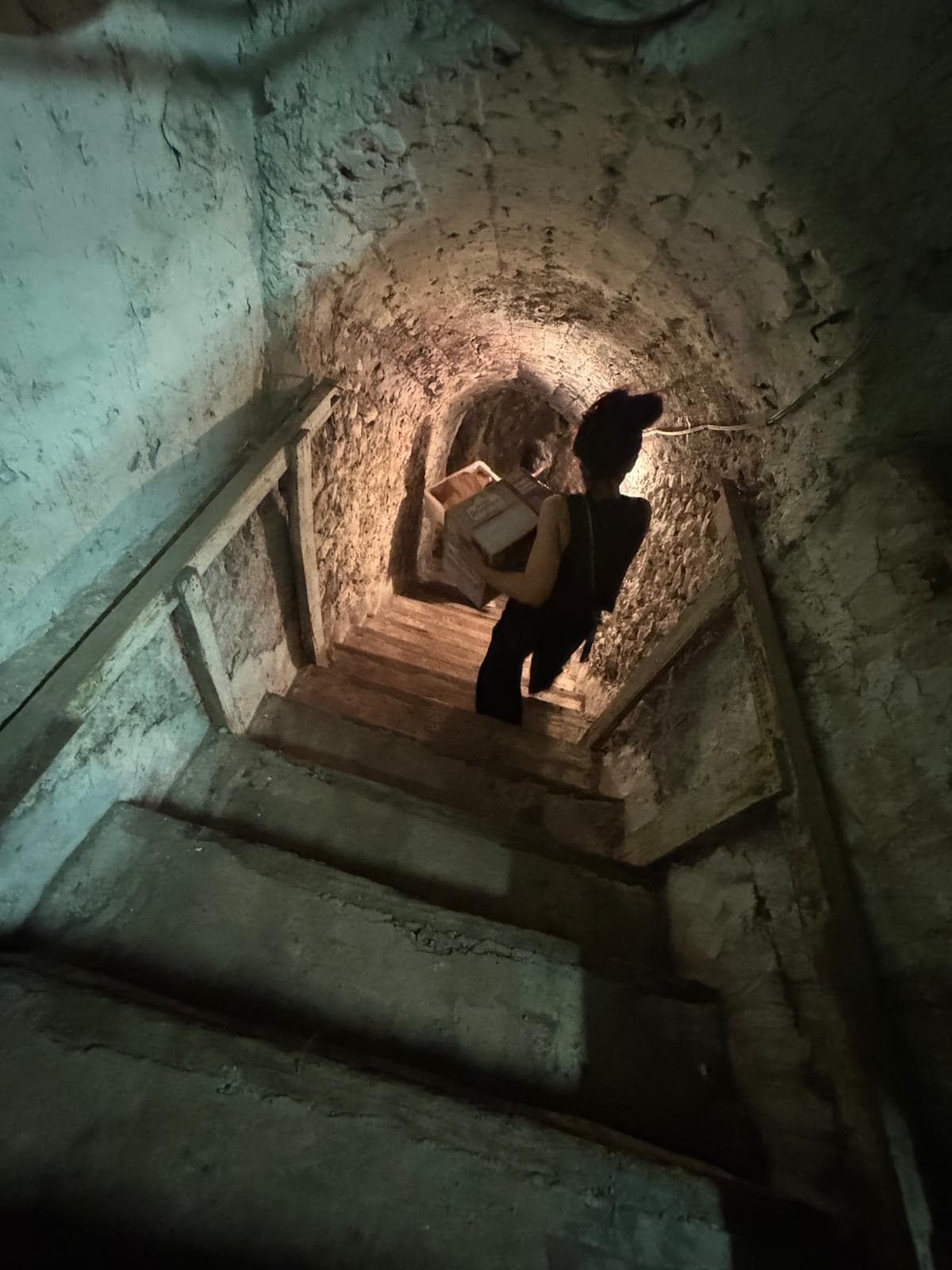 Veduta dell'allestimento della mostra ALCOVE.